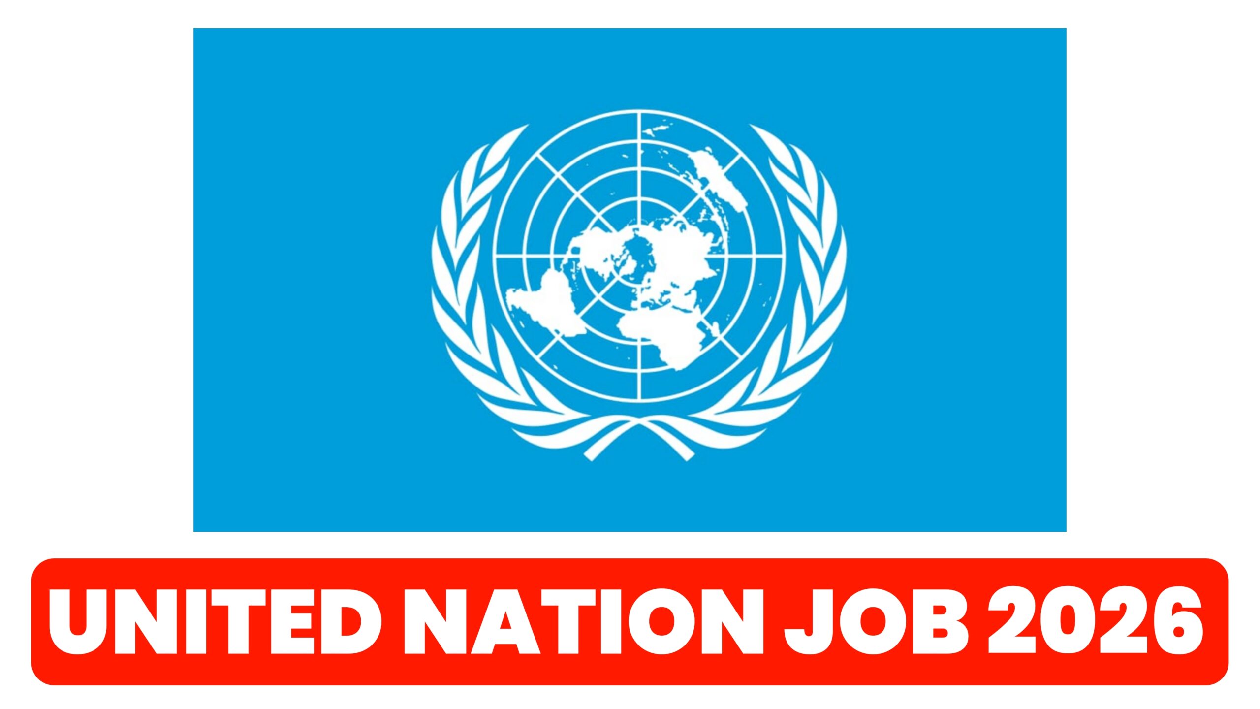 united nation job