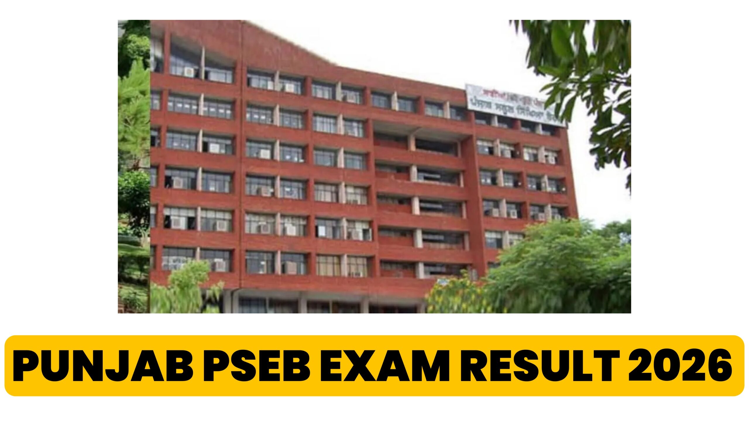 punjab pseb exam